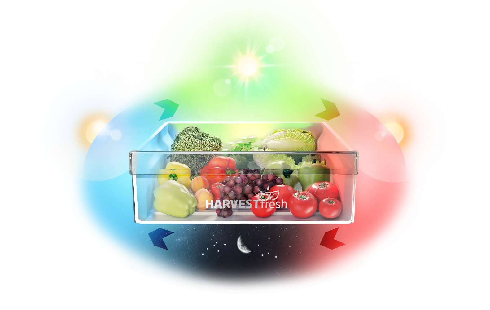 30395-content-1 Beko frižider GN163130SN