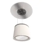 Céline Plus - Image 3