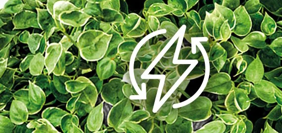 Tesla-4-Advance Tesla Klima Uređaj Advance Tt51Tp91-1832Ihwt - Inverter