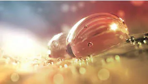 Philips aparat za automatsko uvijanje kose - BHB887/00