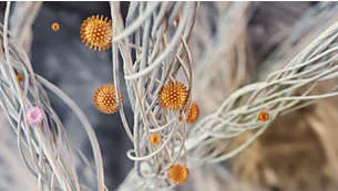 vrs_6192b4a3acd0663bd85768fa4d91806bf7880bab Philips pročišćivač zraka - AC1715/10