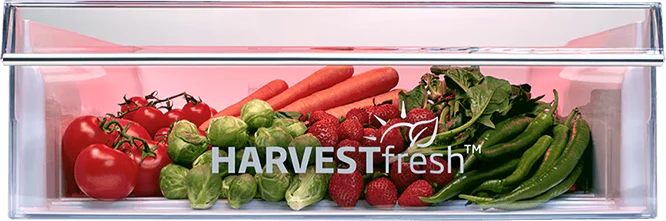harvestfresh Beko ugradni kombinovani frižider BCNA306E4SN