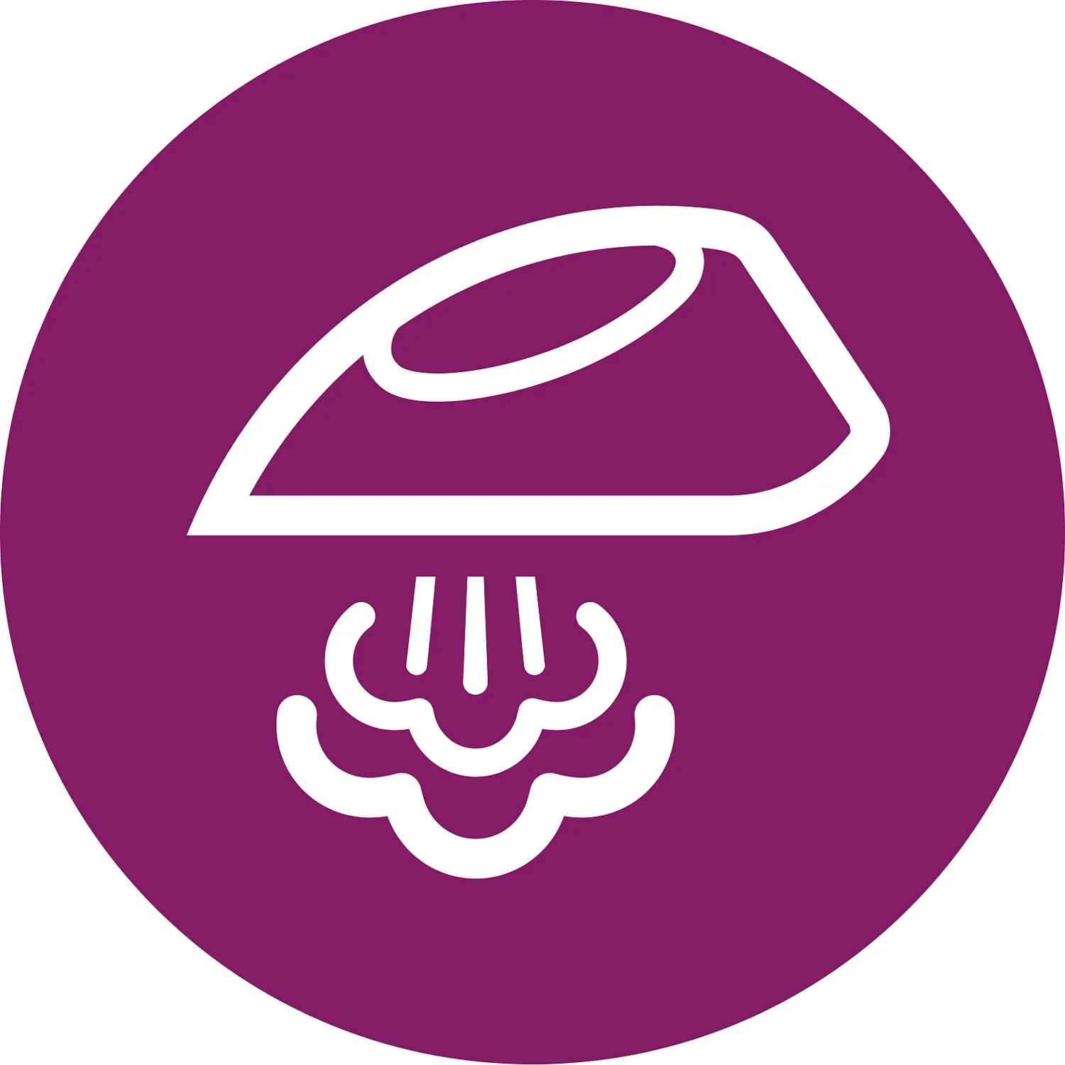 21364_3 Philips Pegla Gc1742/40