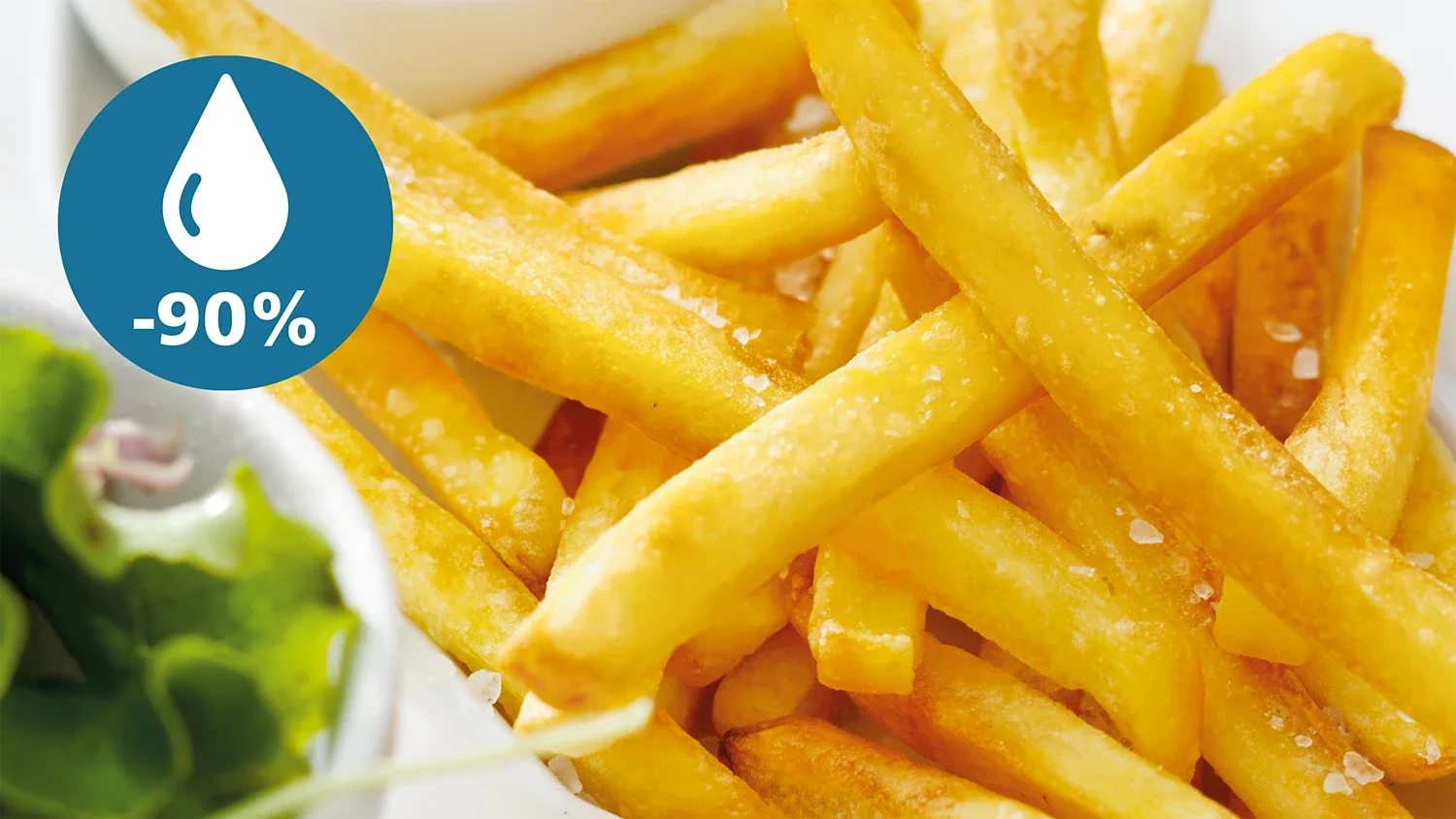 29343_1 Philips Friteza Na221/00