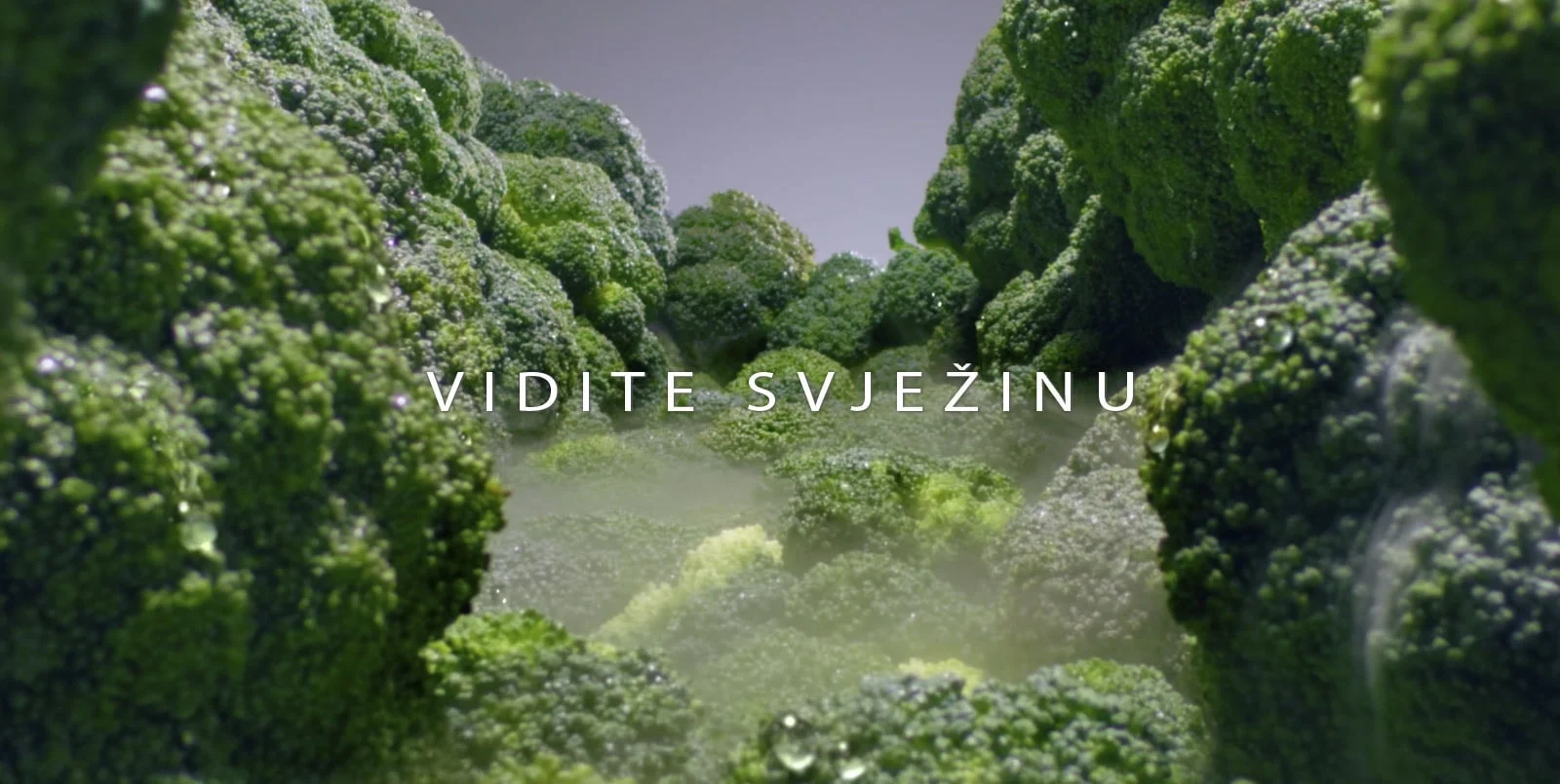 Lg Kombinovani Frižider Gtf916Pzped 3 Lg Kombinovani Frižider Gtf916Pzped