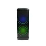 VIVAX karaoke zvučnik BS-1310